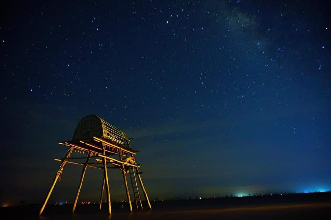 Những vì sao đêm hè