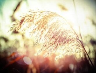 Amazing winter day at sunset