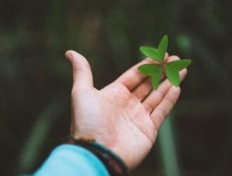 Exotic green clover leave in a man hand palm