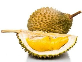 Freshly harvested durian fruit with delicious golden yellow soft flesh