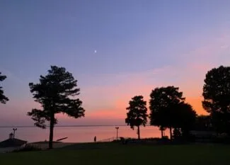 The beautiful sunset sky with the crescent moon and the trees silhouettes.