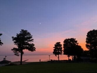 The beautiful sunset sky with the crescent moon and the trees silhouettes.
