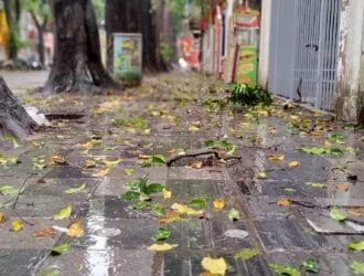 Đừng đuổi theo