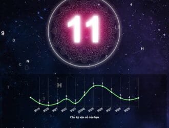 Cuộc đời là những con số