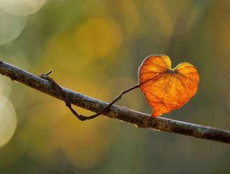 Trả lại nhân gian một kiếp người